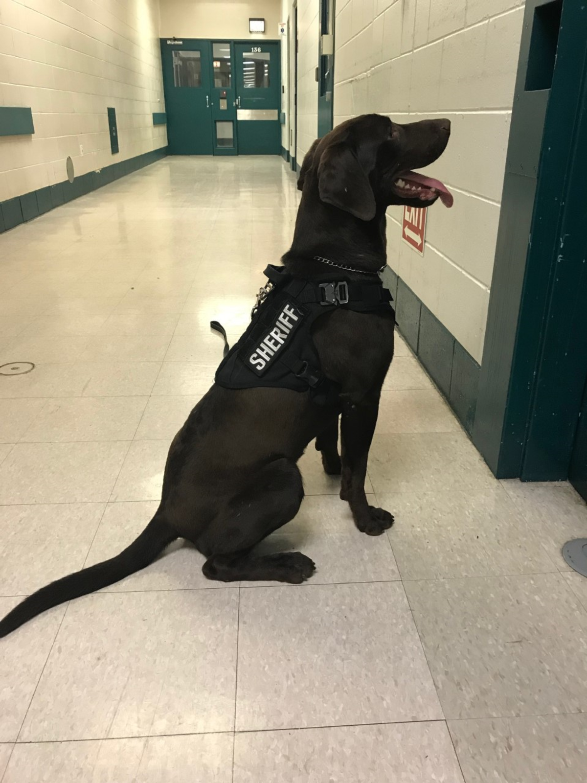 Livingston Co. Sheriff's Office